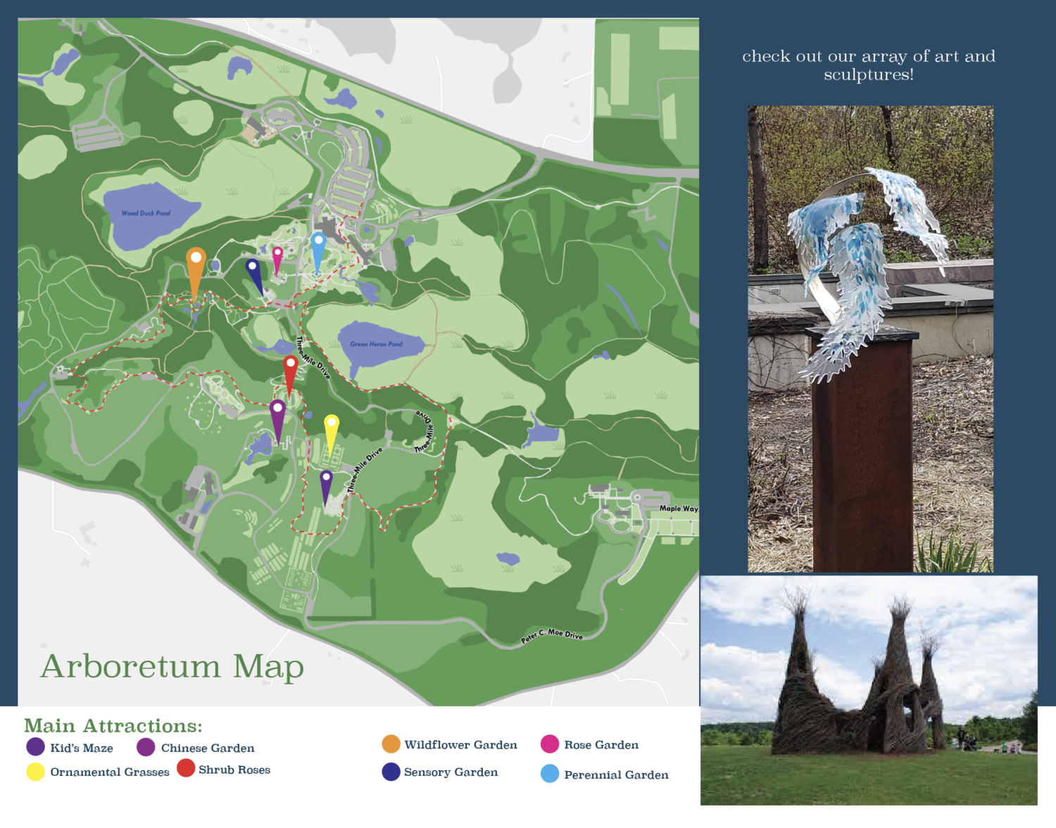 Student examples of a brochure with a map